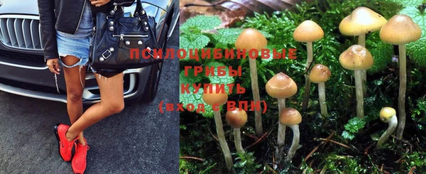 ешки Пересвет