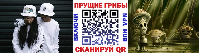 Псилоцибиновые грибы мухоморы площадка Telegram Таштагол